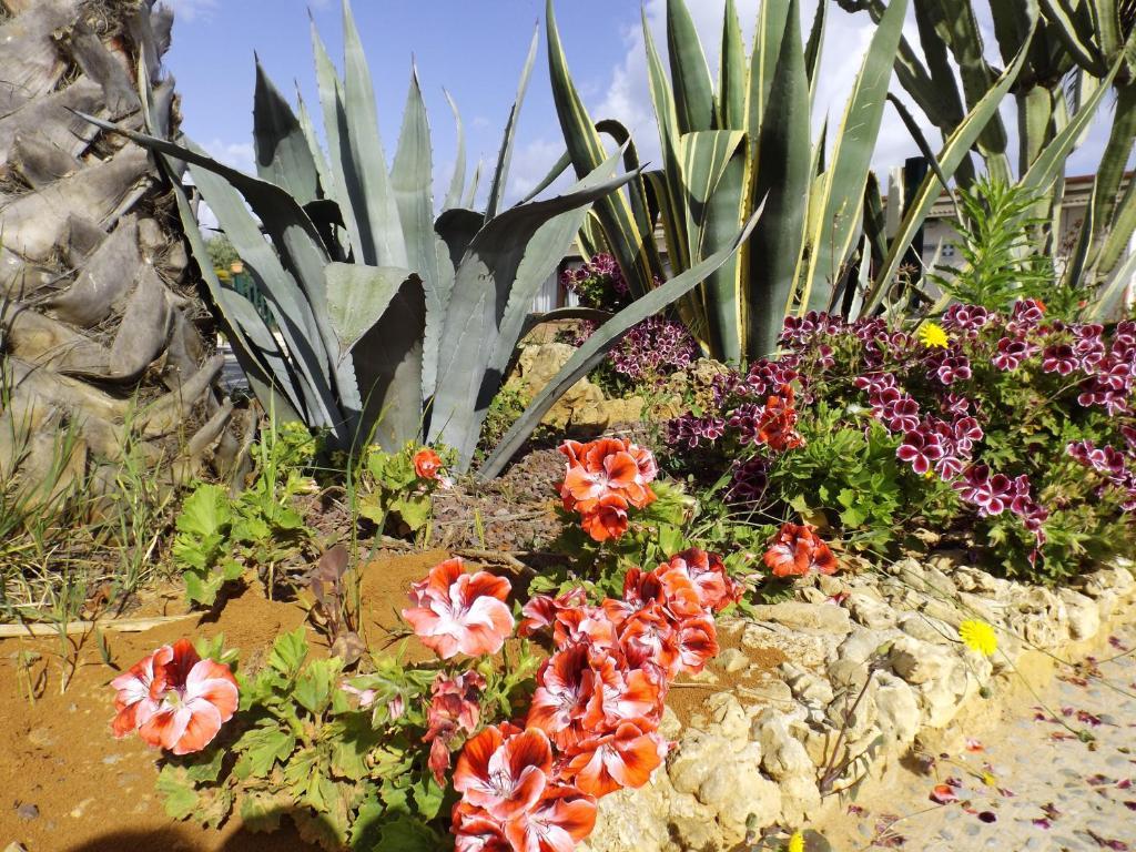 فيلا Agriturismo Arabesque باليستراتي المظهر الخارجي الصورة